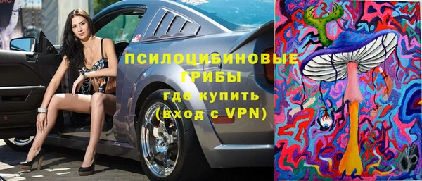 дживик Абаза