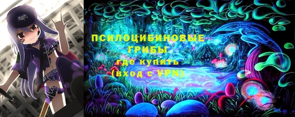 дживик Абаза