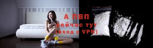 СК Нея