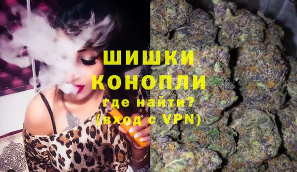 твердый Гусь-Хрустальный
