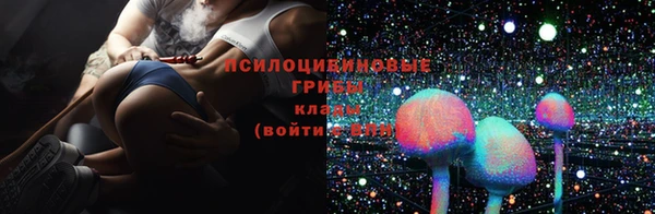 хмурый Мегион